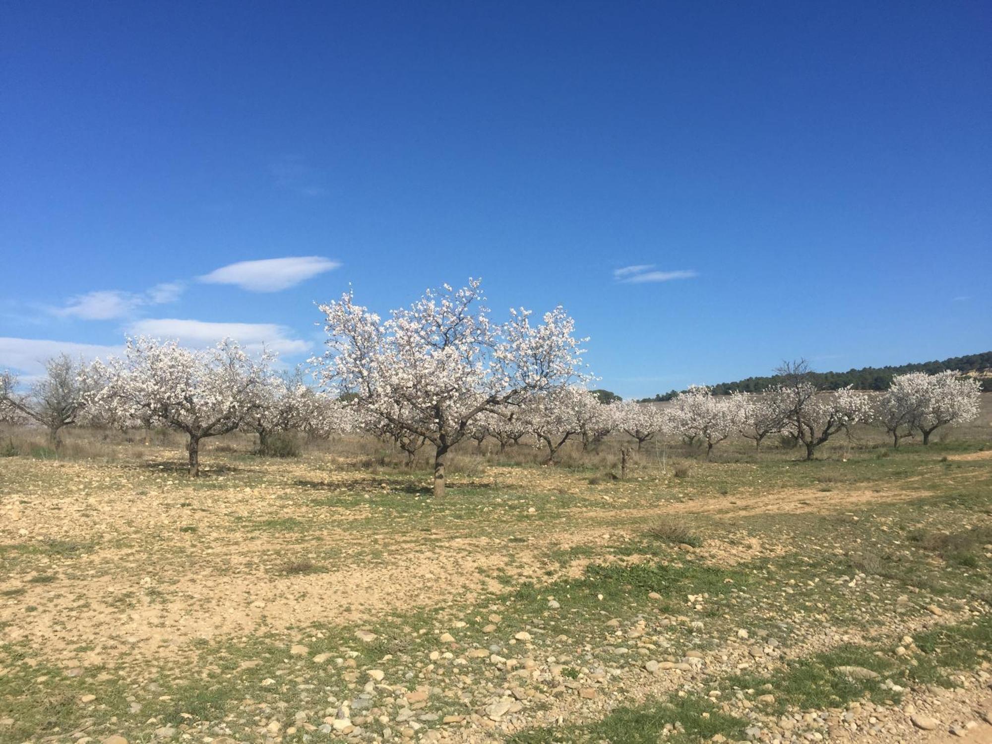 Apartamento Rural El Estrecho De Arguedas Exteriér fotografie