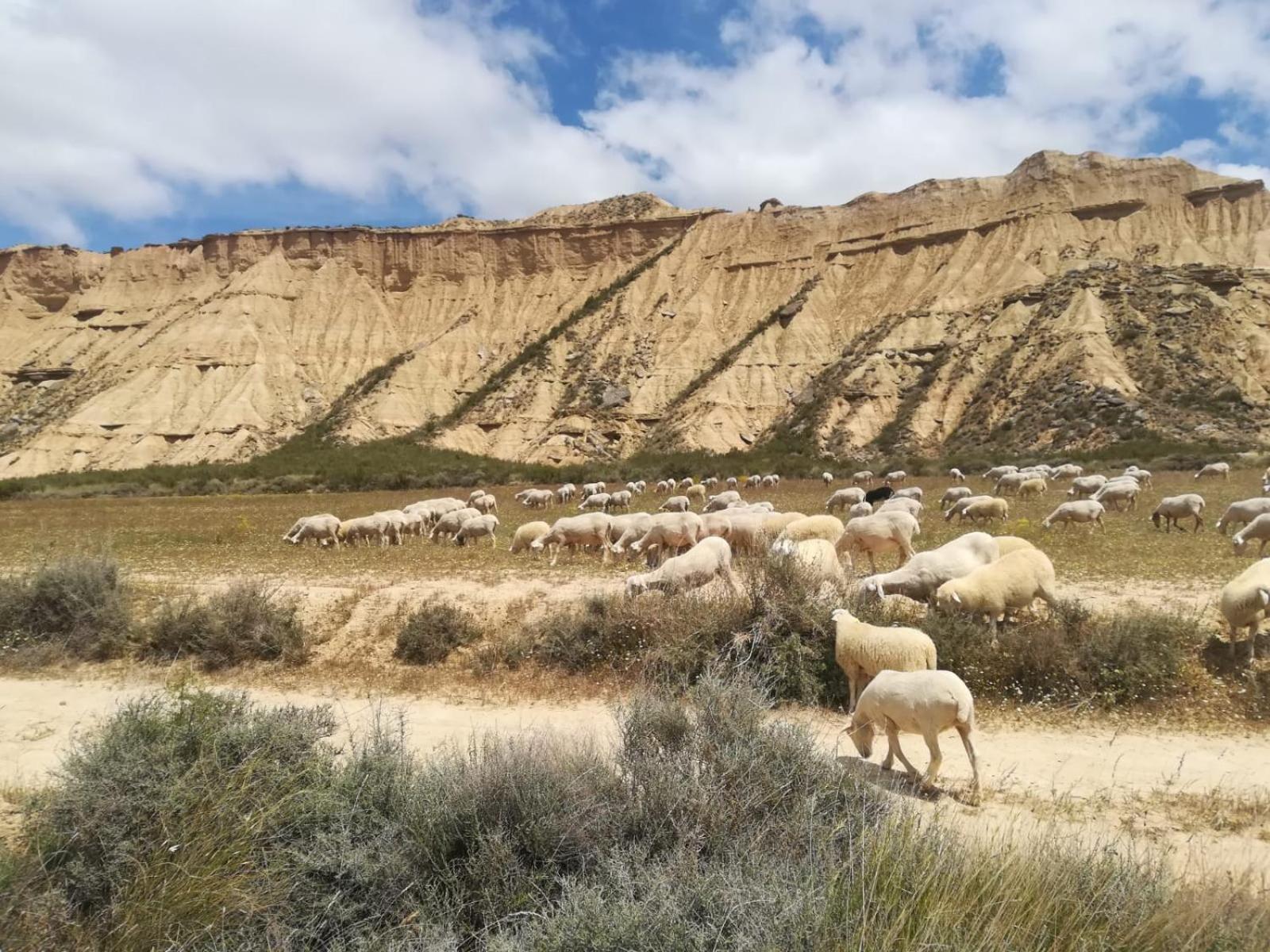 Apartamento Rural El Estrecho De Arguedas Exteriér fotografie